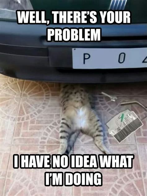 Mechanic Kitteh Funny Animal Photos Funny Cat Pictures Funny Photos
