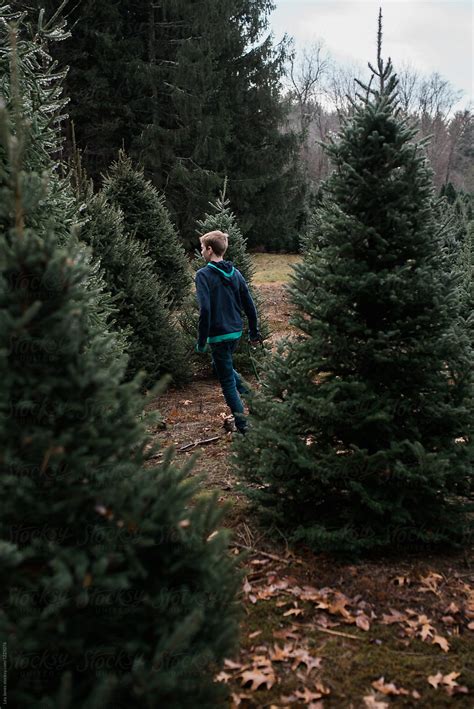 Teen Running Among Christmas Tree By Stocksy Contributor Léa Jones
