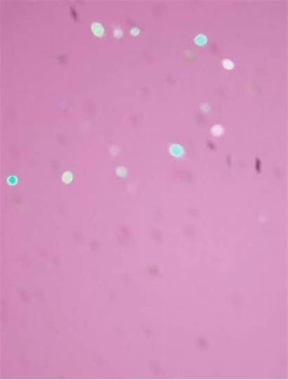 Glitter Sparkles Gifs Confetti Purple Sparkle Nicht