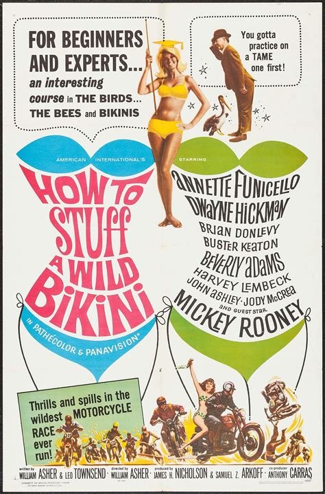 How To Stuff A Wild Bikini 1965 Stars Annette Funicello Dwayne Hickman Brian Donlevy