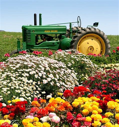 Tractor In The Flower Fields Carlsbad California Tractors