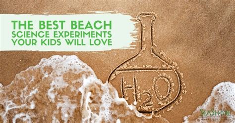 The Best Beach Science Experiments Your Kids Will Love