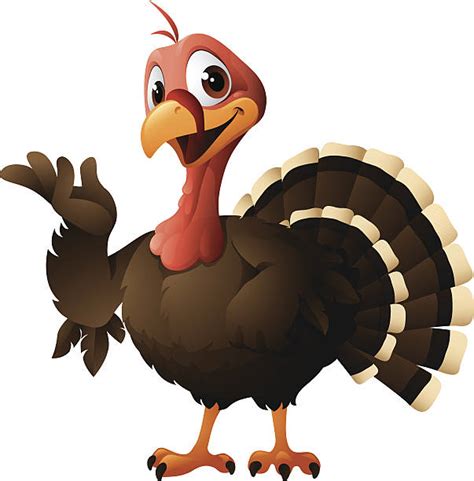 Cartoon Of A Animated Turkey Stock Photos Pictures And Royalty Free