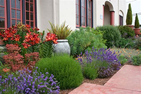 Plants And Flowers For Backyards In Southern Calif In Lyndas Garden