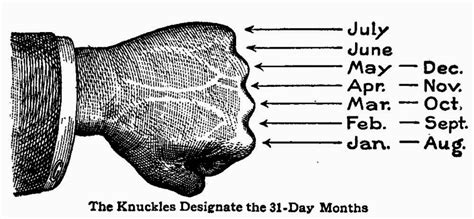 Jan 01, 2021 · also called a lunation or synodic month, it has a mean period of 29.53059 days (29 days 12 hours and 44 minutes). How Many Days in Each Month - Easy Hand Trick - Ency123