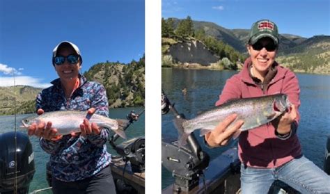 Holter Rainbows Montana Hunting And Fishing Information