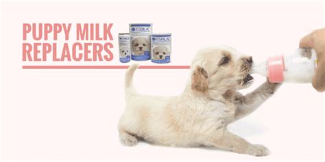 Top 5 Best Puppy Milk Replacers — Powder Liquid Goats Milk