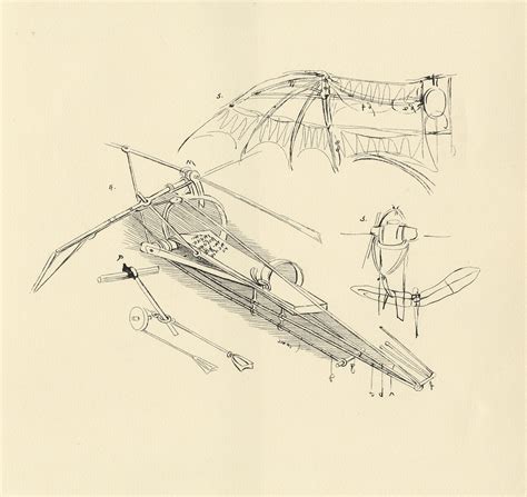 Leonardo Da Vinci Drawings Flying Machines