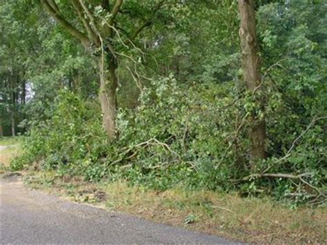 Noodweer in midden italië heeft aan zeker twee mensen het leven gekost. Zondag 23 juli: Stormschade na noodweer van zaterdag 22 juli