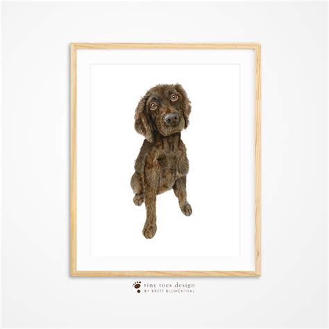 Boykin Spaniel Dog Portrait South Carolina Pup Hunting - Etsy