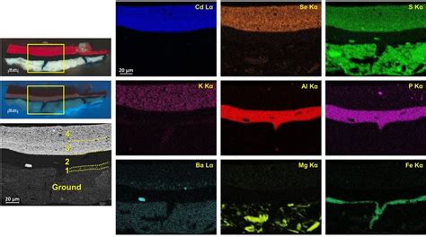 Left Polarized Light And Uv Light Microphotographs Of Cross Section S6