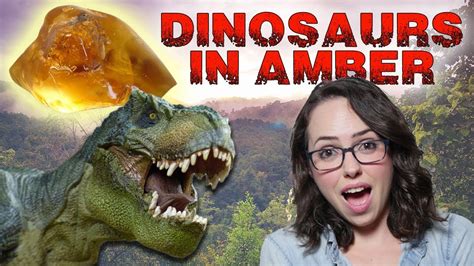 Dinosaur Dna Trapped In Amber Youtube