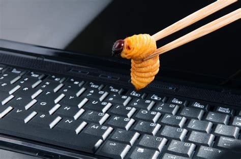 If you are unsure of the ways of removing a virus from your system or you're afraid of the damage to your computer if trying removing the virus, formatting your computer is the. What is a Computer Worm?