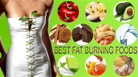 Top 10 Best Facts Of Effective Fat Burning Foods Best Fat Burning Foods Youtube