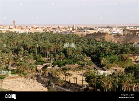 Nefta Oasis Hi Res Stock Photography And Images Alamy