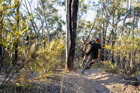 Skills The Five Best Tips To Improve Your Riding Australian Mountain