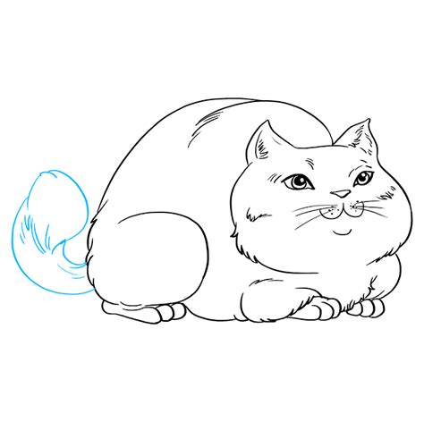 How To Draw A Fat Cat Really Easy Drawing Tutorial