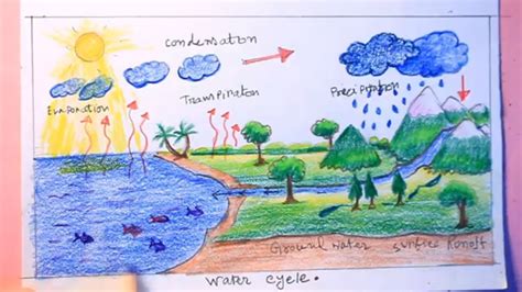 How To Draw Water Cycle Step By Stepwater Cycle Drawing Youtube