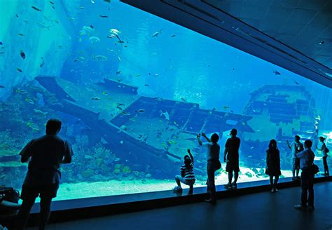 5 Best Aquariums In The World That You Have To Sea Buro