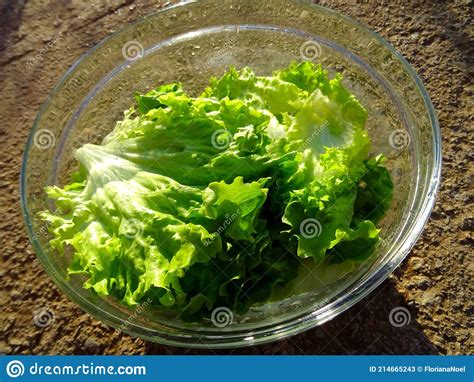 Green Salad In A Glass Bowl Stock Image Image Of Meal Meat 214665243