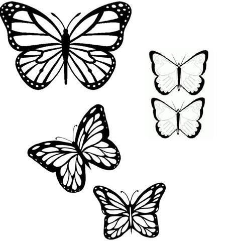 Outlines Of Butterflies Coloring Home