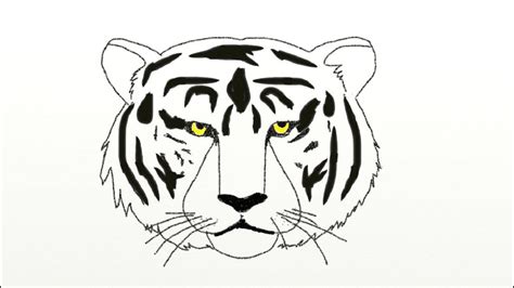 How To Draw A Tiger Face Roaring Step By Step