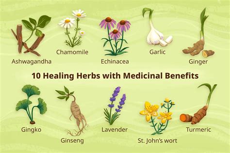 Health Benefits Of 10 Healing Herbs