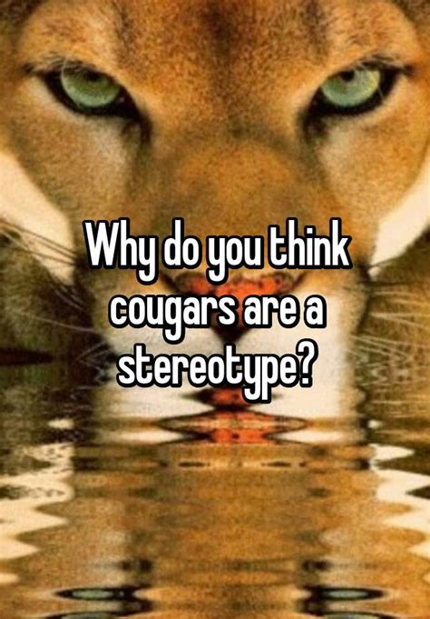 Why Do You Think Cougars Are A Stereotype