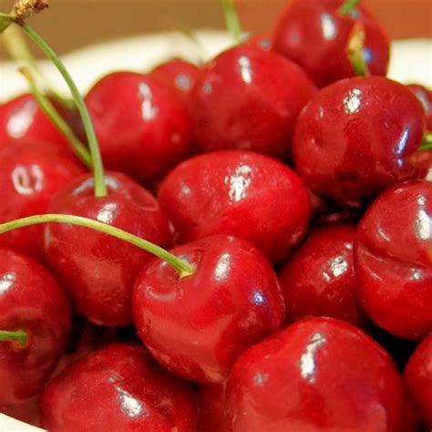 How To Grow And Care For Fruiting Cherry Trees Artofit