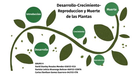 Desarrollo Crecimiento Y Muerte De Las Plantas By On Prezi