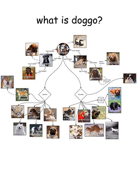 Doggo Chart Poster By Mrpopo8 Redbubble