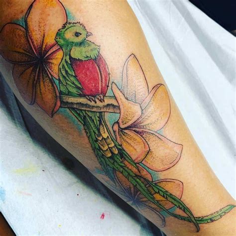 quetzal bird tattoos designs emilyvandenberghamazon