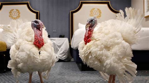 2018 national thanksgiving turkey fun facts about the pardoning ceremony