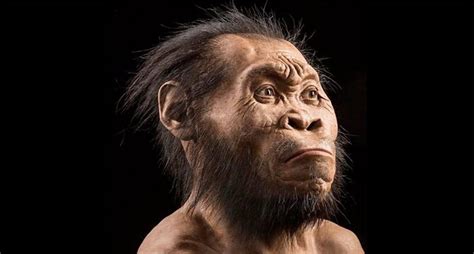 El Homo naledi un hominido de cerebro pequeño pero similar al nuestro