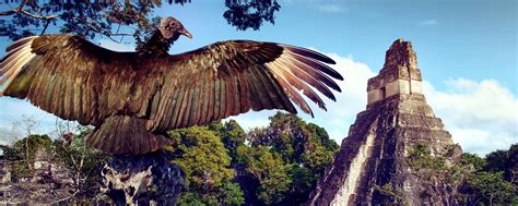 Guatemala ist das land der ladinos und indigenos in zentralamerika. Guatemala : Urlaub - Sehenswürdigkeiten Easyvoyage