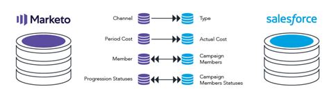 Marketo And Salesforce Integration Setup Optimize And Troubleshoot