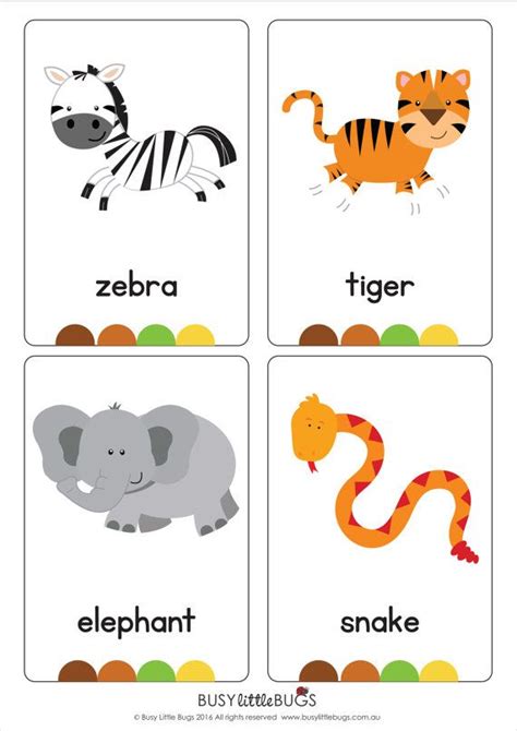 Brand New Design Jungle Flash Cards Animales En Ingles Tarjeta Del