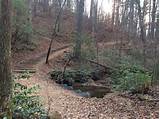 Pictures of Dahlonega Hiking Trails