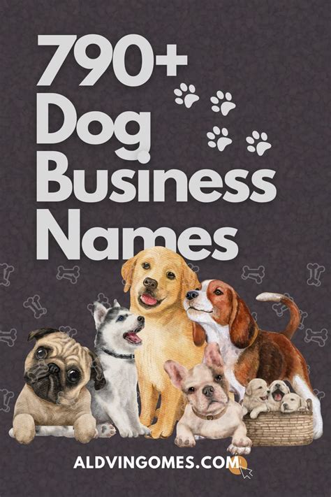 Dog Business Names 799 Clever And Unique Name Ideas List Dog