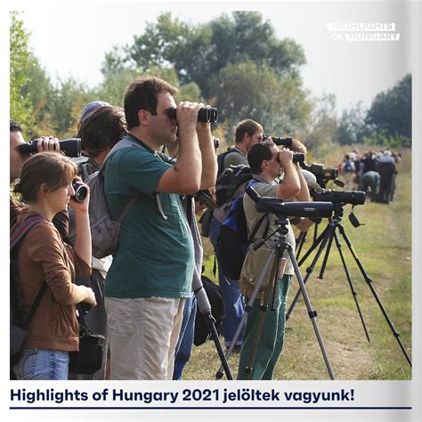 Highlights Of Hungary Jelöltek Vagyunk Magyar Madártani és