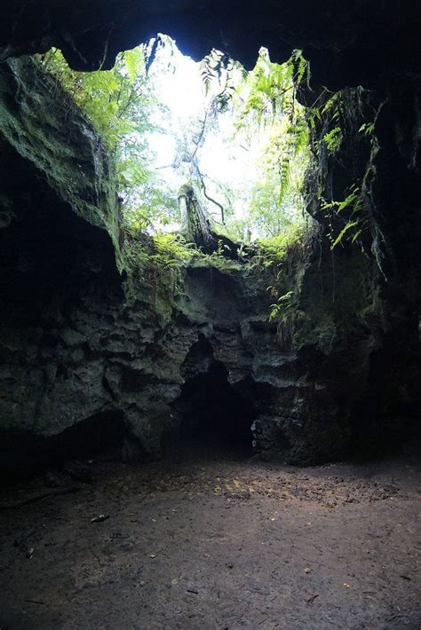 Dames Caves Withlacoochee State Forest Fl Rflorida