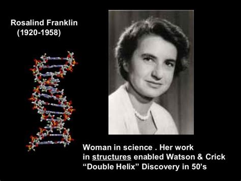 Rosalind Franklin 25 July 1920 16 April 1958 Whose Work On The