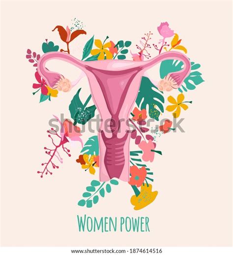 Healthy Female Reproductive System Floral Backgrounduterus Stock Vector
