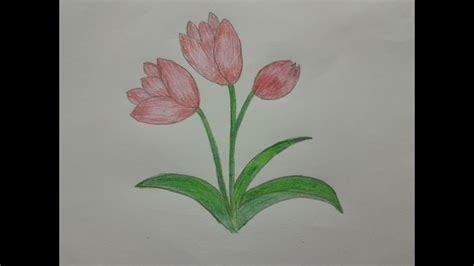 Cara Menggambar Bunga Tulip How To Draw Tulips Flower Youtube