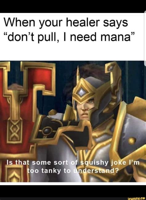 When Your Healer Says Dont Pull I Need Mana Ifunny Warcraft