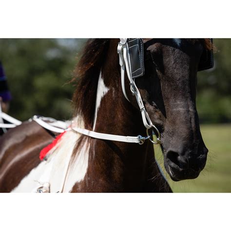 Horse Driving Harness Horse Harness For Sale Two Horse Tack