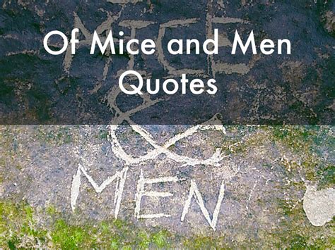 Of Mice And Men Quotes By Amym