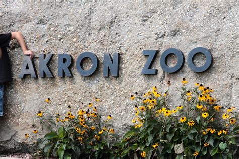 Akron Ohio Zoo Flickr