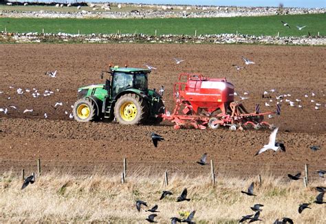 Results In For The Big Farmland Bird Count