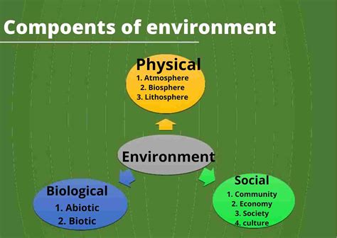 Components Of Environment And Its Importance Ritus Academy